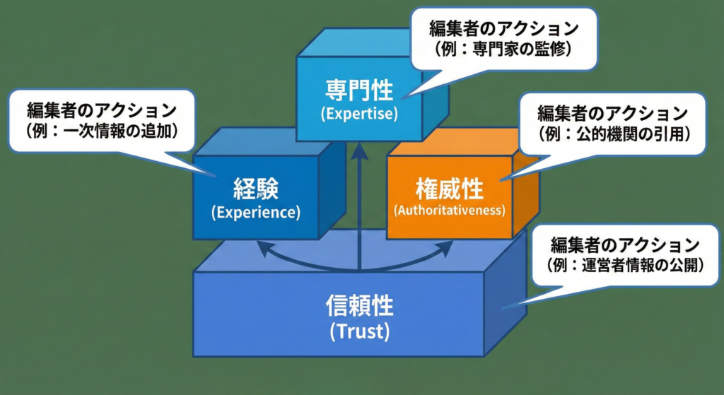 E-E-A-Tの構成要素と編集アクションの関係図